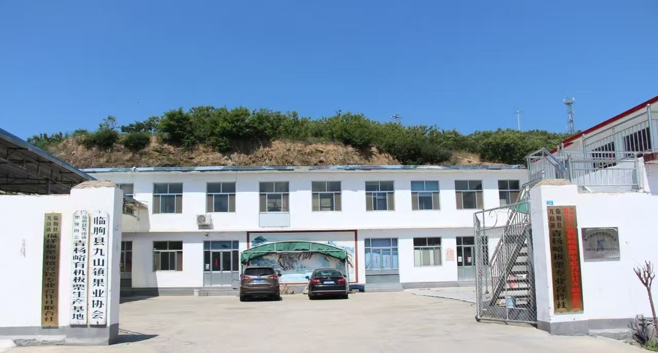 1763960064880785.jpg 1.jpg