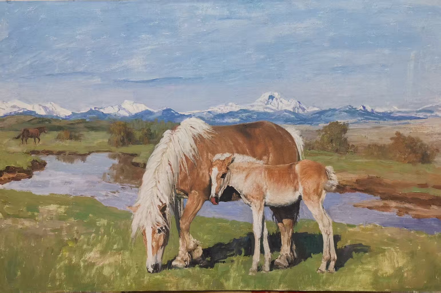 雪域风情系列90x60cm 2012年