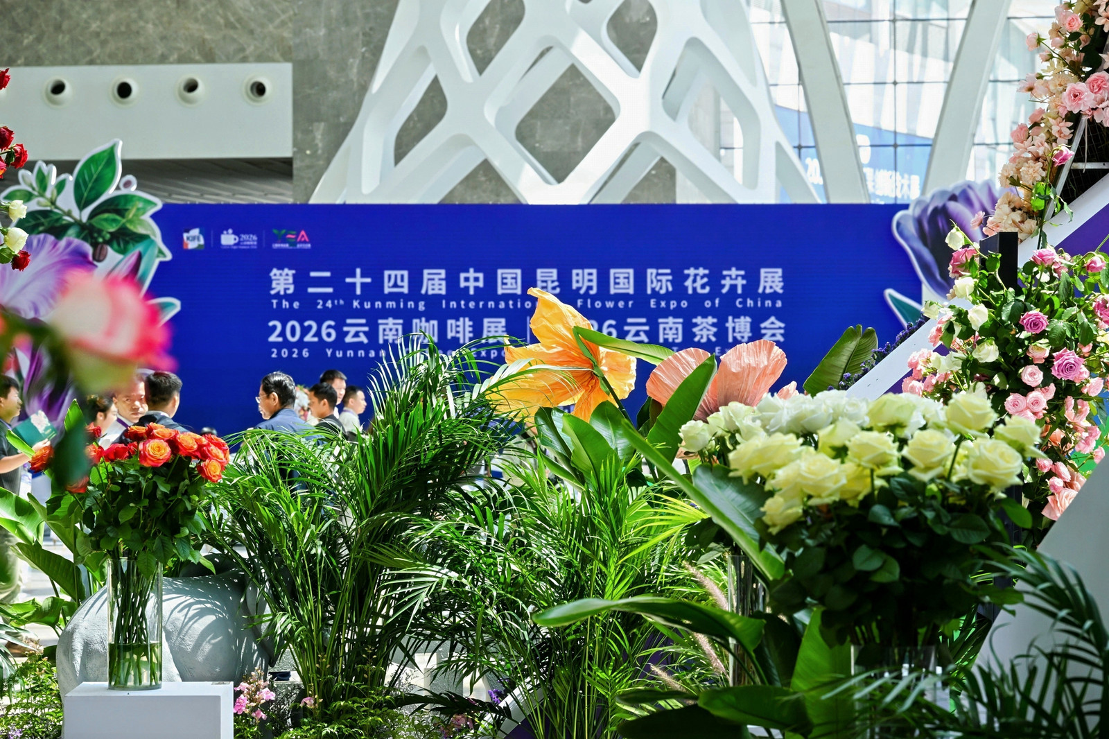 DSC_1033-5022911979